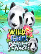 สมัคร สมาชิก sbosoccer manager 2021 แผนการเล่นใหม่ล่าสุด